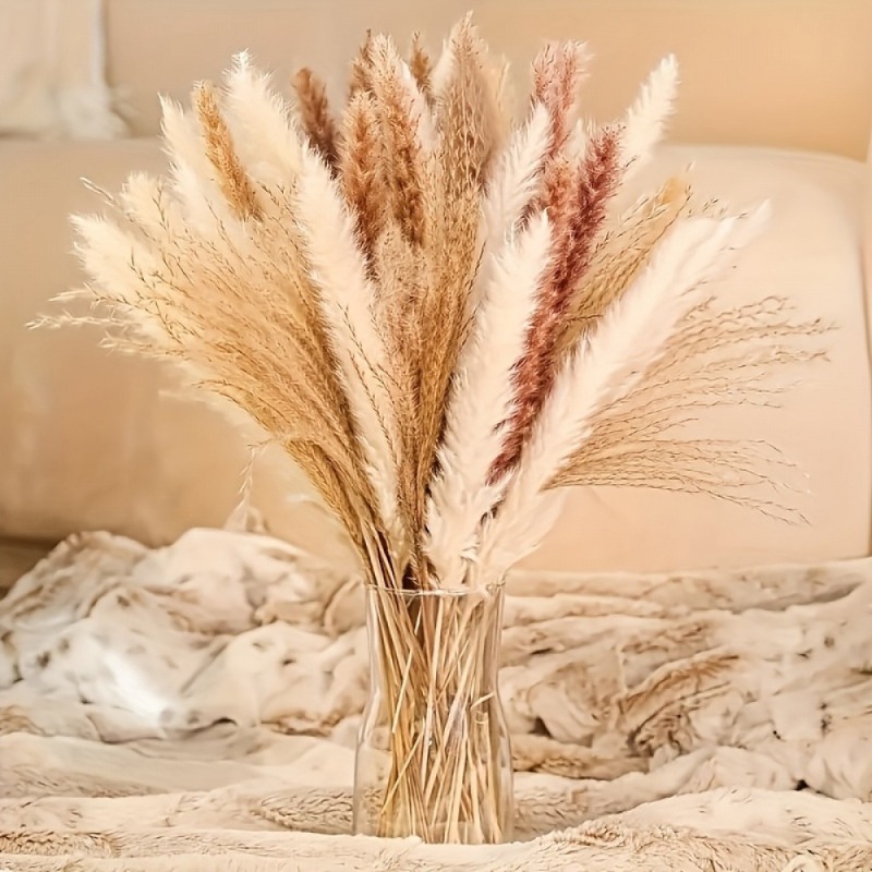 Dried Pampas Bundle - 110 Peças de Arranjos Florais Secos