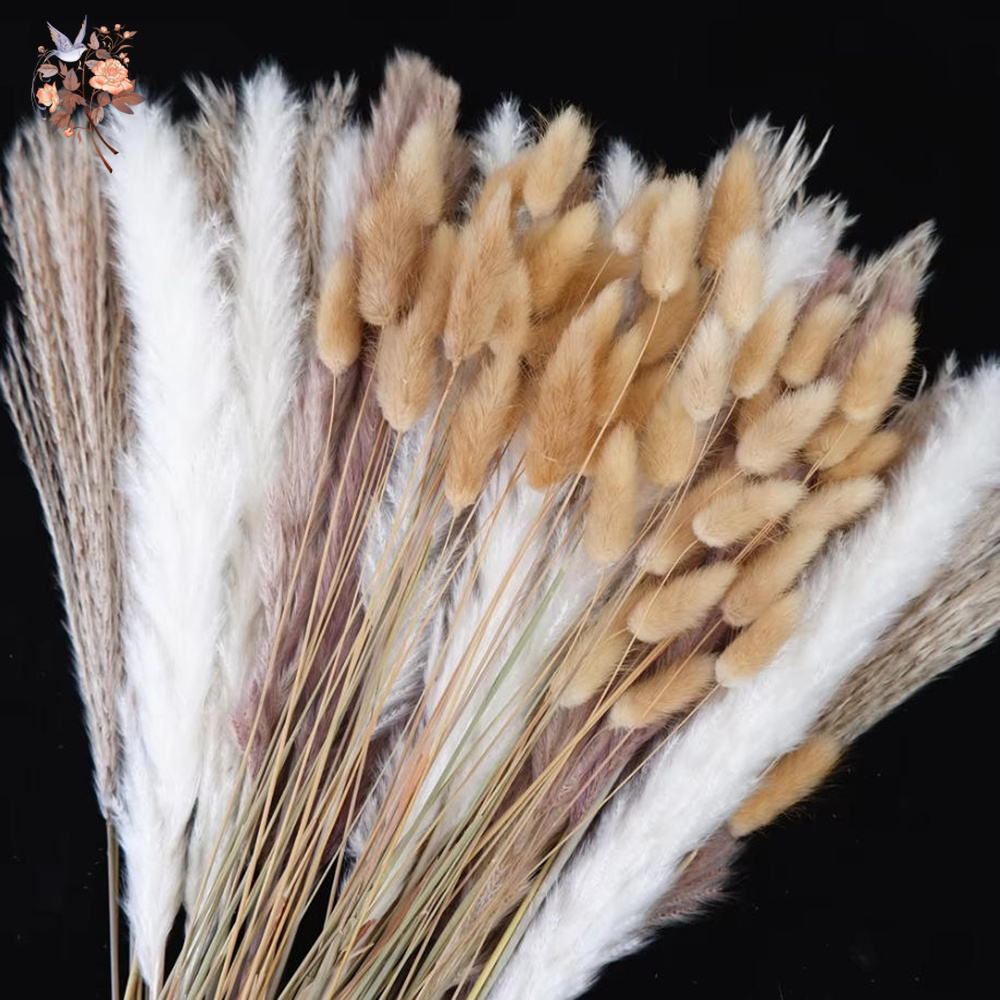 Buquê de Flores Naturais Secas - Dried Pampas Bundle avaliação e preço