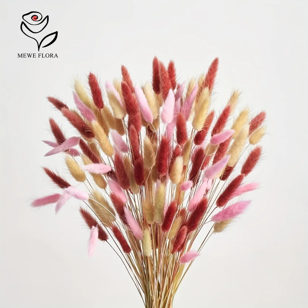 90 pçs misturado 3 cores cauda - Dried Pampas Bundle avaliação e preço