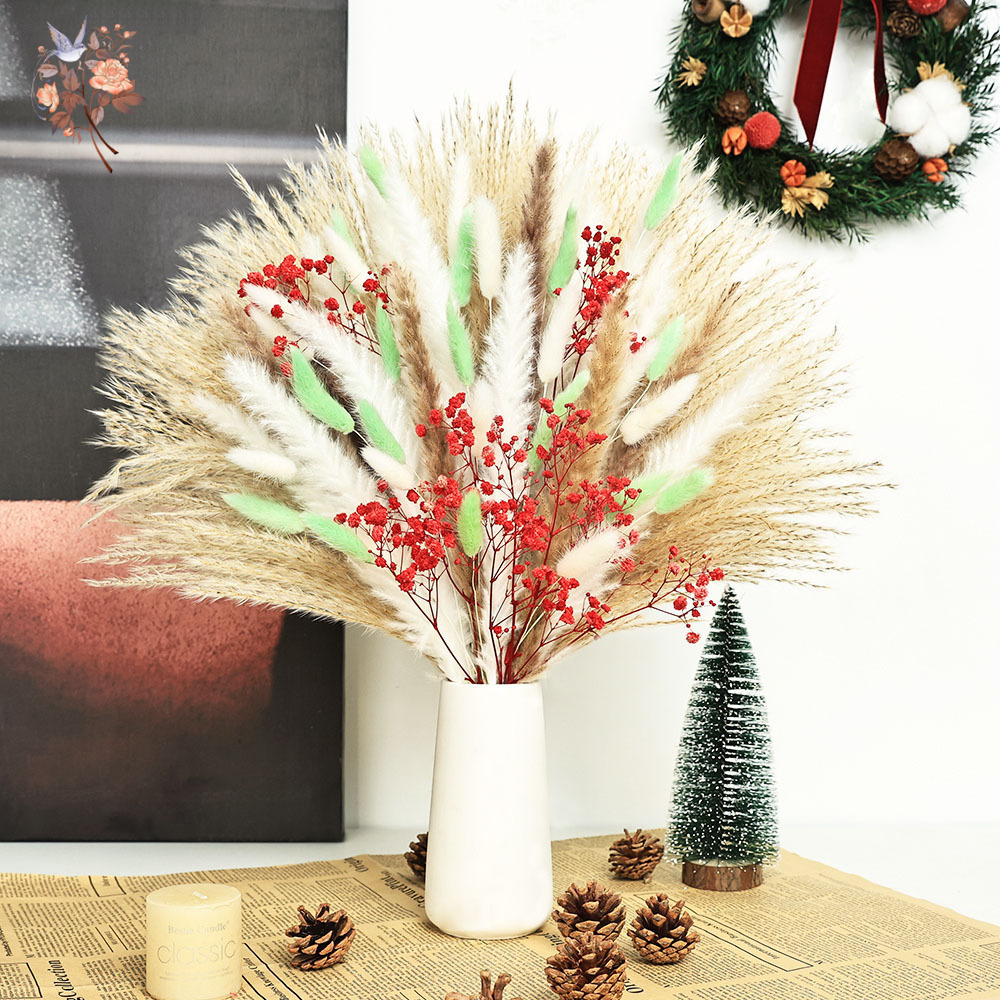 70 hastes fofas verdes vermelh - Dried Pampas Bundle avaliação e preço
